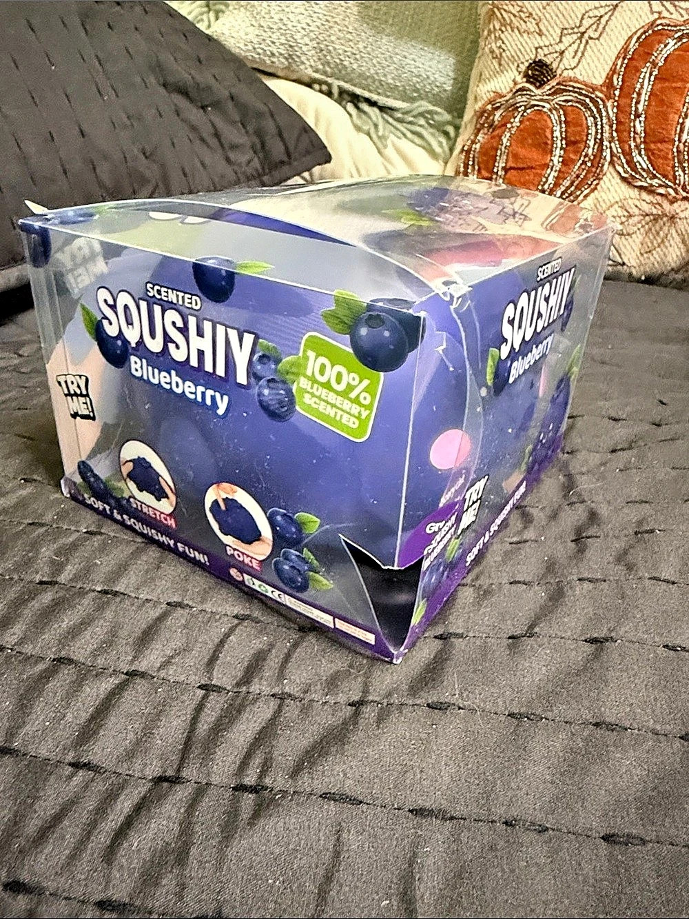 Jumbo blueberry squishy